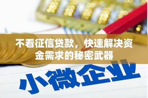 施秉不看征信贷款，快速解决资金需求的秘密武器