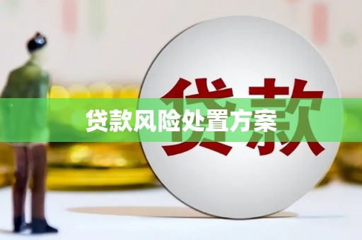 岳阳楼贷款风险处置方案