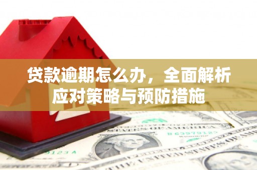 房县贷款逾期怎么办，全面解析应对策略与预防措施