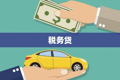 枞阳税务贷