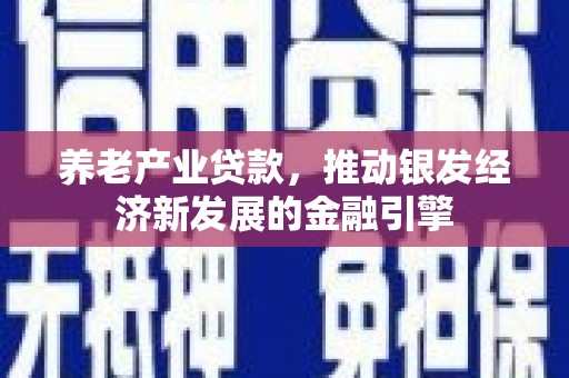 循化养老产业贷款，推动银发经济新发展的金融引擎