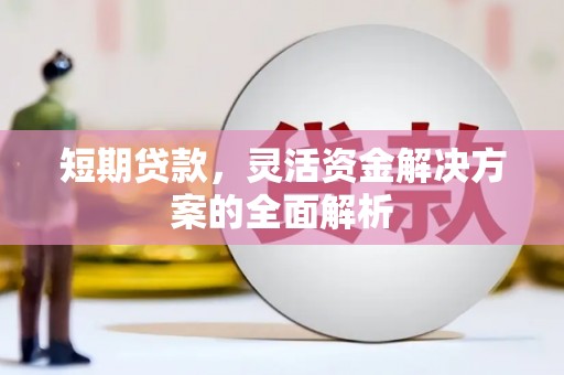 阿图什短期贷款，灵活资金解决方案的全面解析