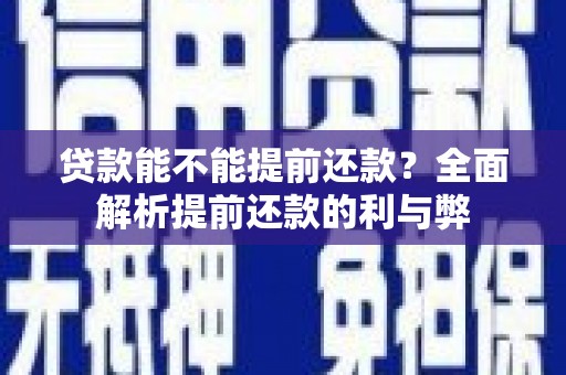芦山贷款能不能提前还款？全面解析提前还款的利与弊