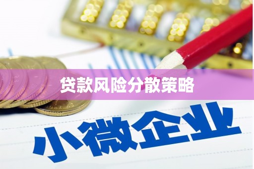 伽师贷款风险分散策略