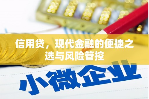 张北信用贷，现代金融的便捷之选与风险管控