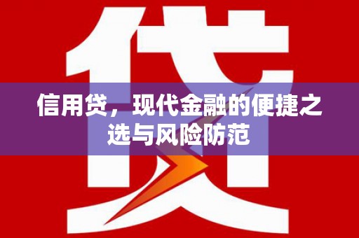 张湾信用贷，现代金融的便捷之选与风险防范