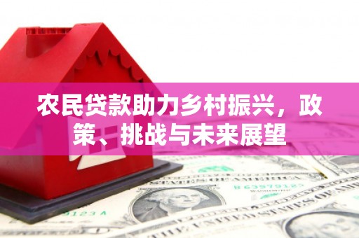 沁阳农民贷款助力乡村振兴，政策、挑战与未来展望