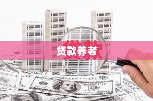 大武贷款养老
