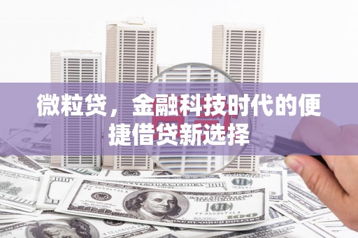 柳南微粒贷，金融科技时代的便捷借贷新选择