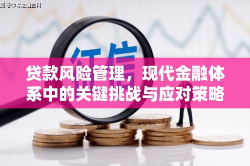 代县贷款风险管理，现代金融体系中的关键挑战与应对策略