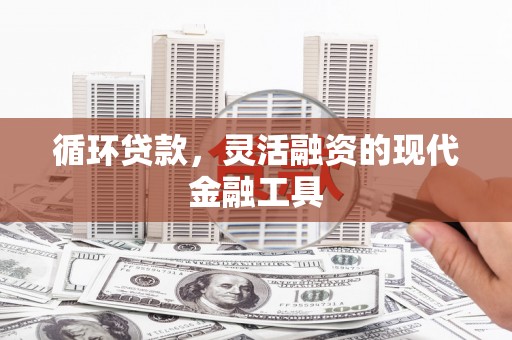 麟洛循环贷款，灵活融资的现代金融工具