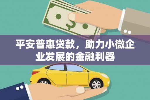 岳麓平安普惠贷款，助力小微企业发展的金融利器