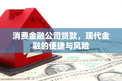 西充消费金融公司贷款，现代金融的便捷与风险