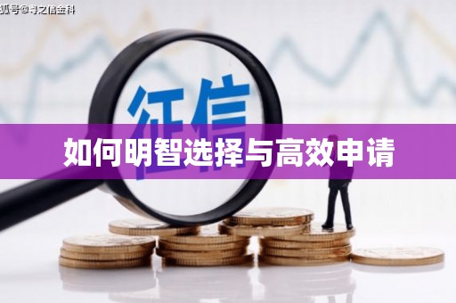 武江如何明智选择与高效申请