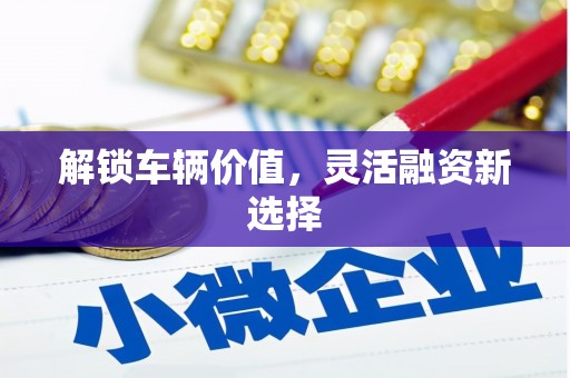 渭源解锁车辆价值，灵活融资新选择
