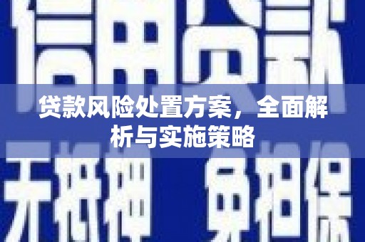 广河贷款风险处置方案，全面解析与实施策略
