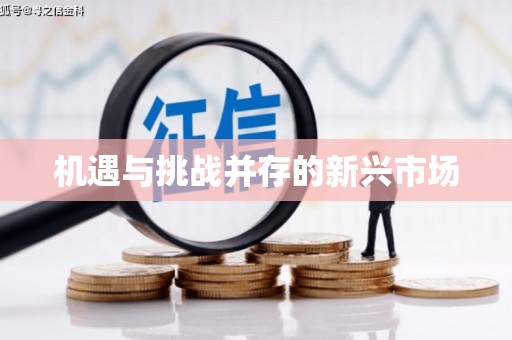西畴机遇与挑战并存的新兴市场