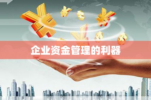 安图企业资金管理的利器